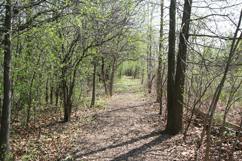 Gallery Walnut Ridge