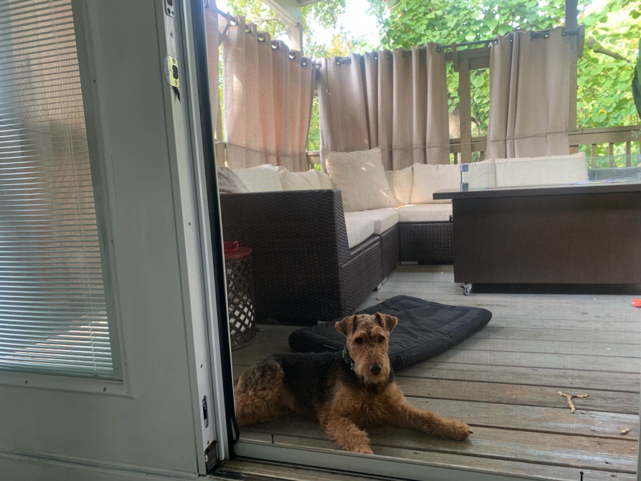 Gallery Walnut Ridge Kennel LLC