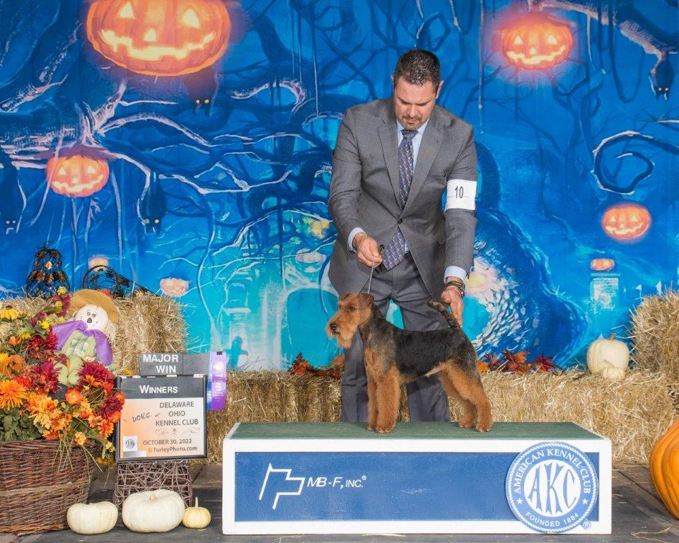 Our Adults Walnut Ridge Kennel LLC