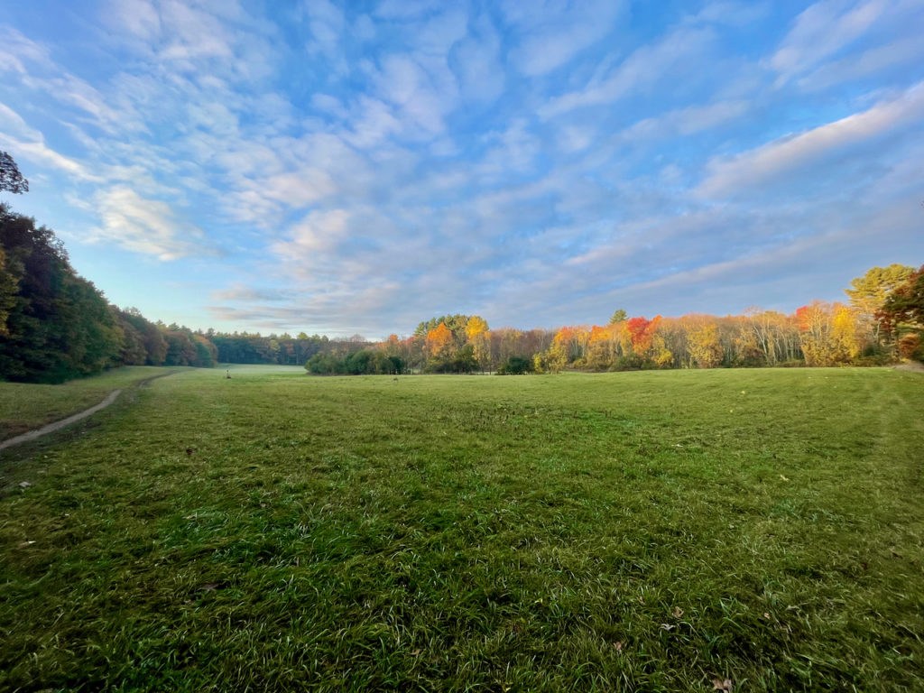 First Day Hike Adams Farm Town of Walpole, MA Trails