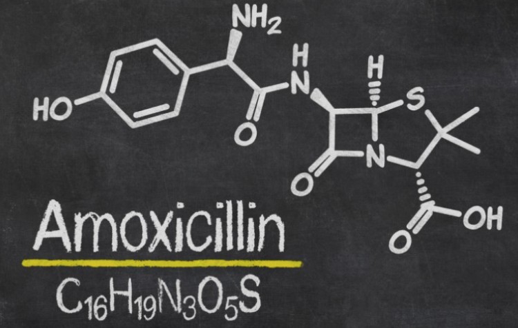 How Long Does Amoxicillin Last In Your Body?