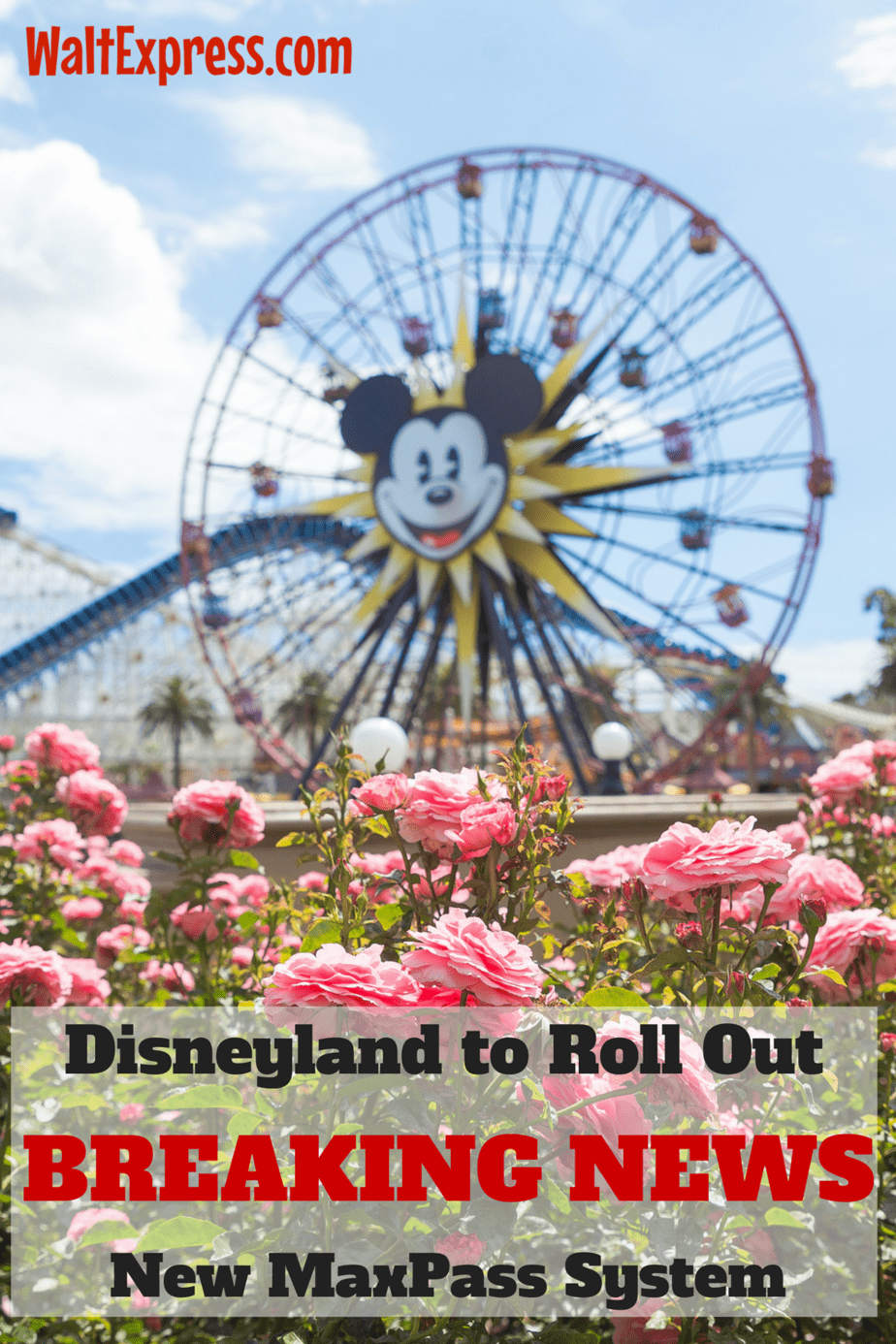BREAKING NEWS Disneyland Resort to Roll Out MaxPass Product at Extra