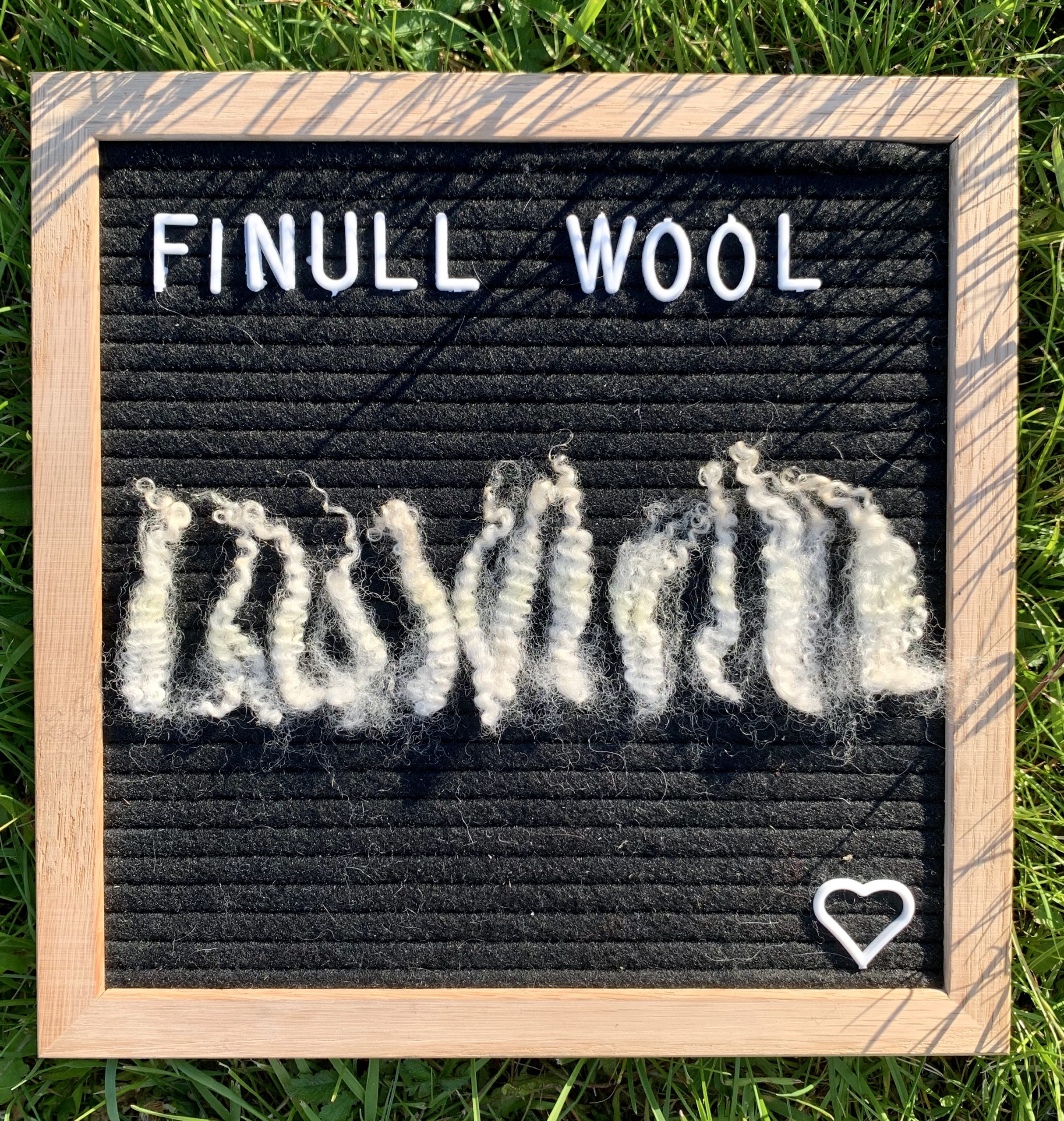Wool staples from the finull sheep Karin from Glada fåret sheep farm.