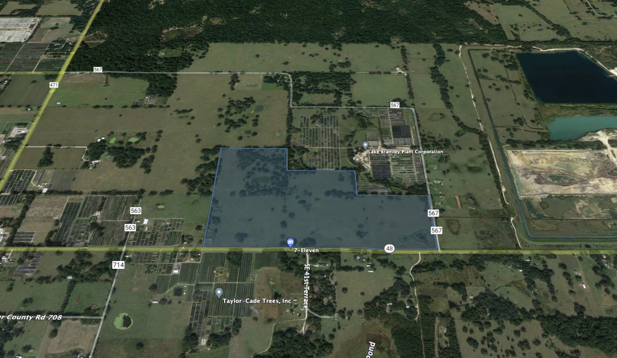 Hamilton Property Walton Global