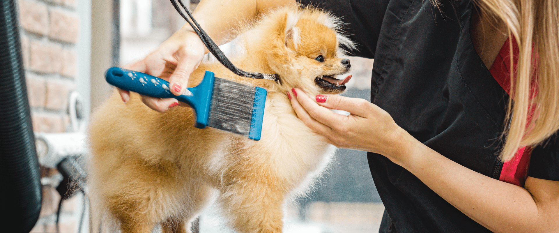 How Much Do Mobile Dog Groomers Make