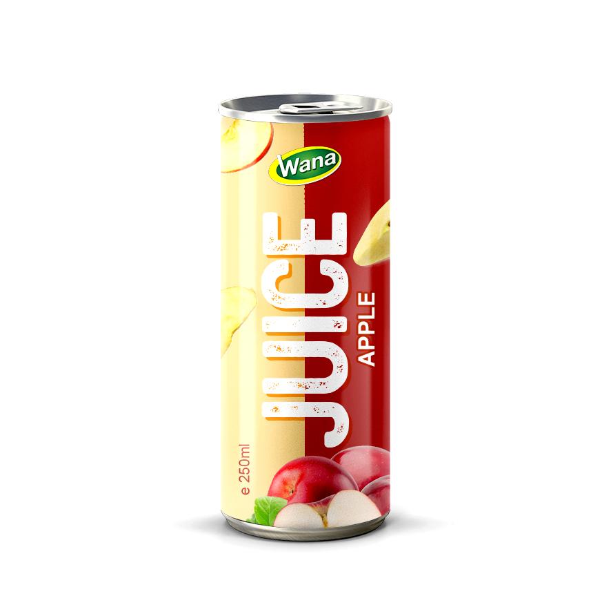 100 Natural Apple Juice Healthy Drink in 250ml canned Wana Beverage