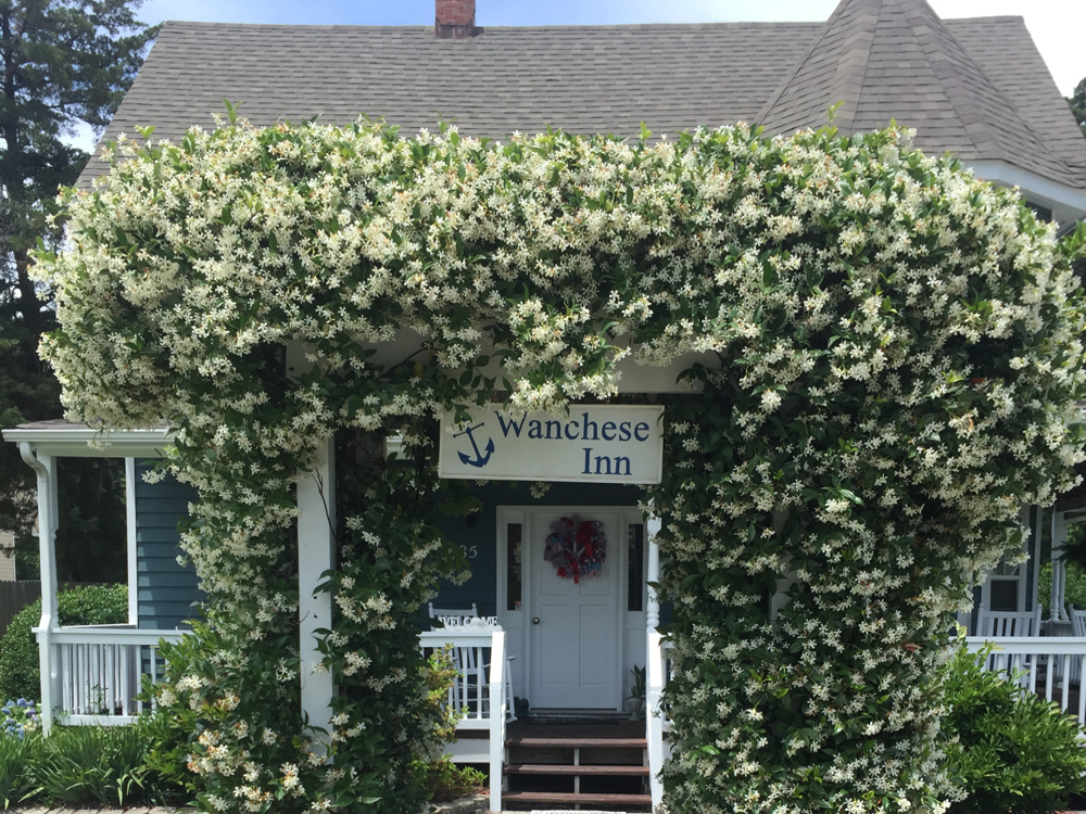 Wanchese Inn Bed & Breakfast