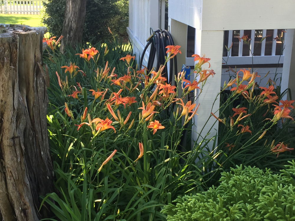 Wanchese Inn Photos Wanchese Inn Bed & Breakfast