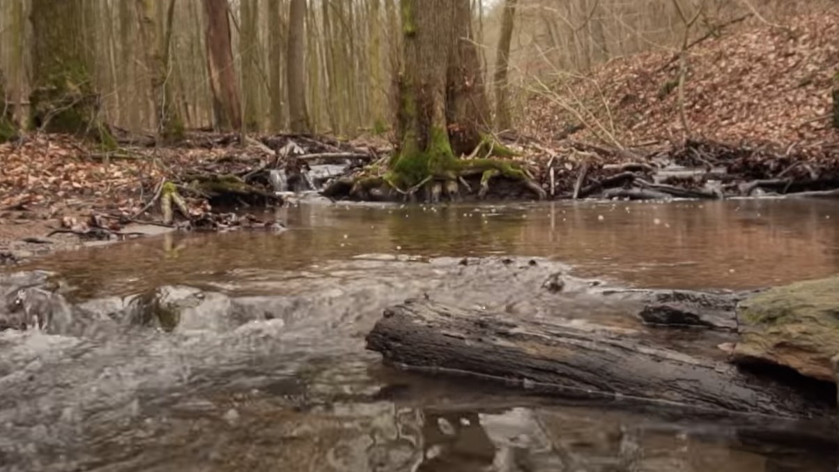 UrwaldTour SAARBRÜCKEN Wandern, Trekking, Deutschland