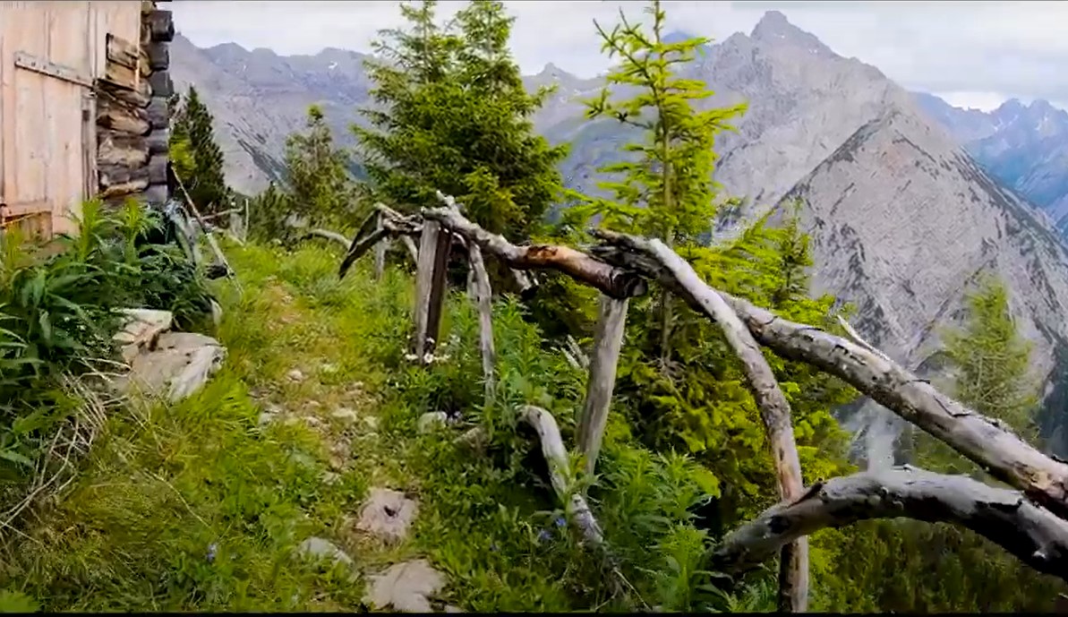 Wanderung Habart (2294m) & Hochpleisspitze(2349m) Tirol Lechtal