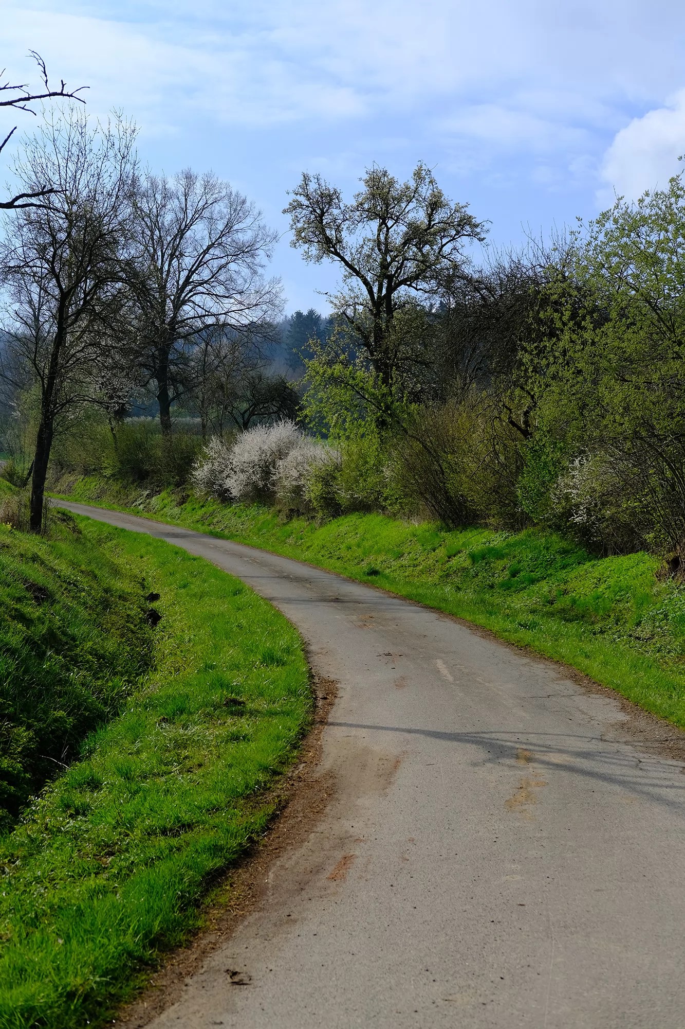 Wandercache auf den Kordigast wandercach.es