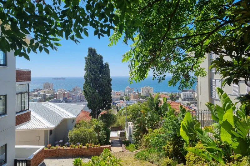 Moving to Cape Town Guide Pros, Cons, and Best Neighborhoods Wander