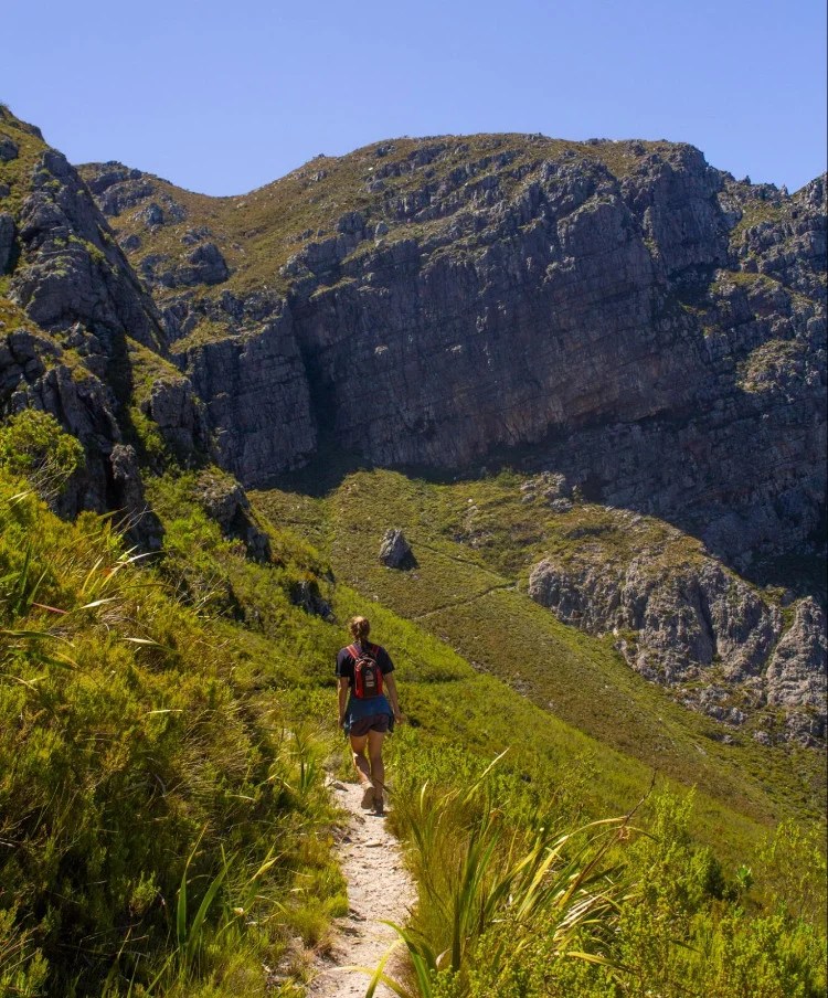 Explore Jonkershoek Nature Reserve Hiking, Biking, and Natural Beauty