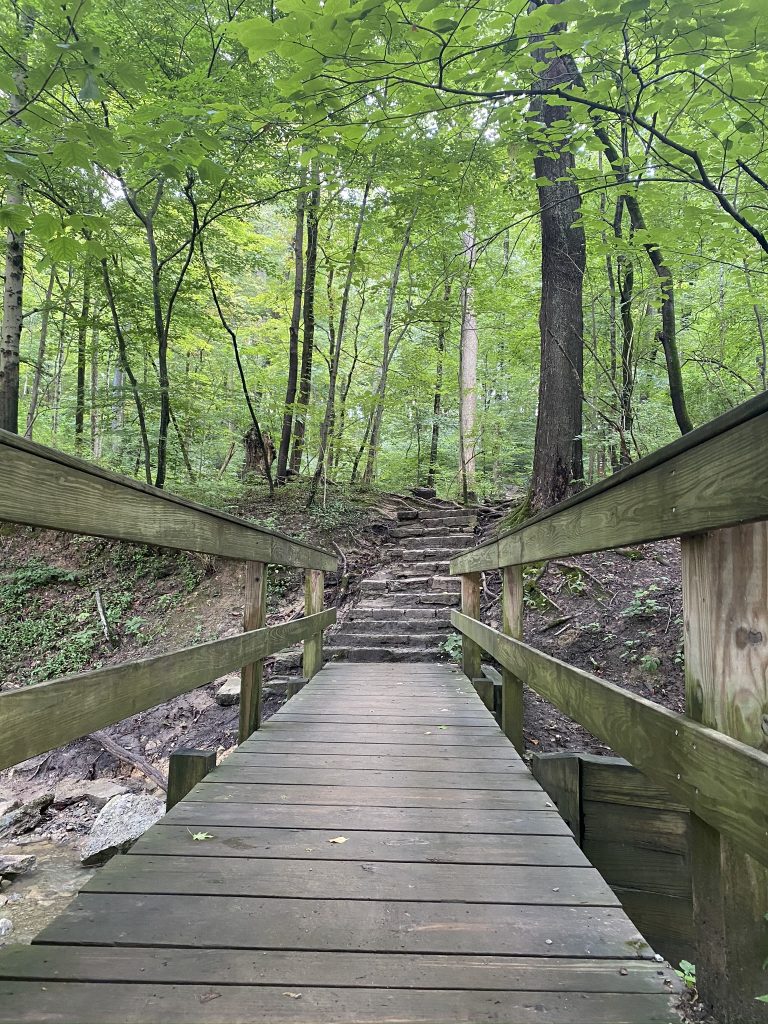 A Guide to Cincinnati's Ault Park Wander Cincinnati