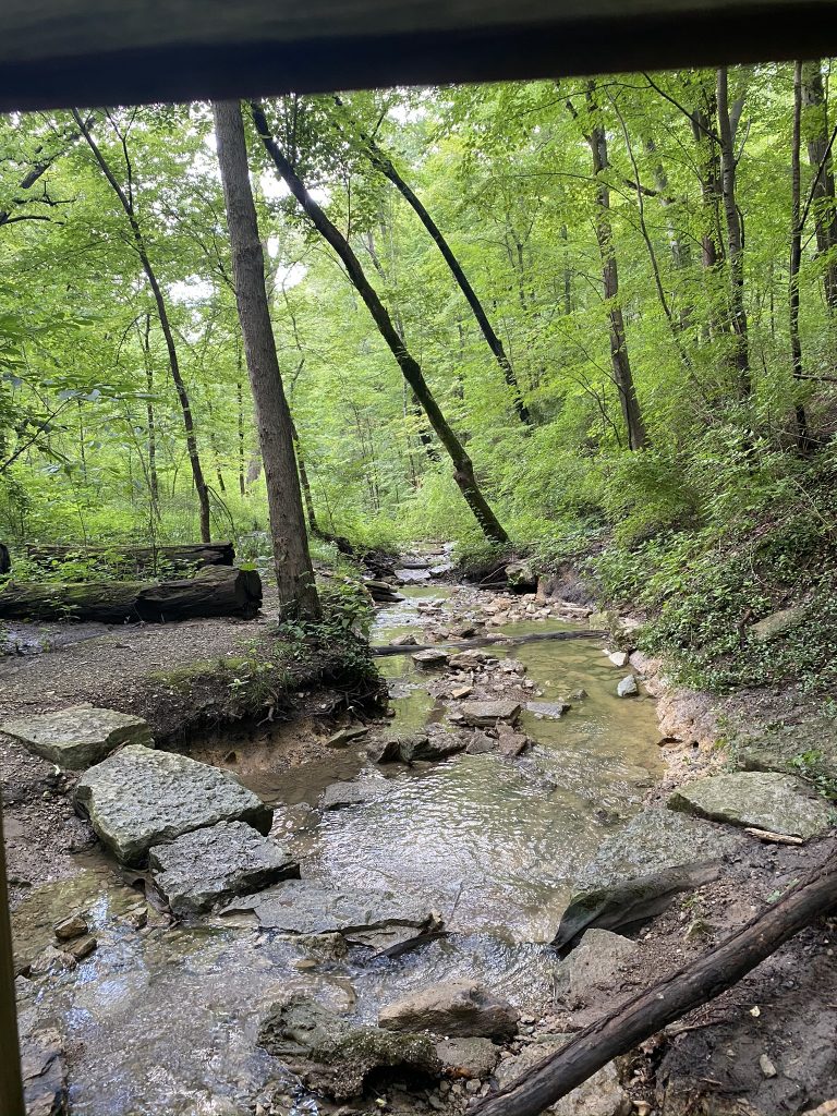 A Guide to Cincinnati's Ault Park Wander Cincinnati