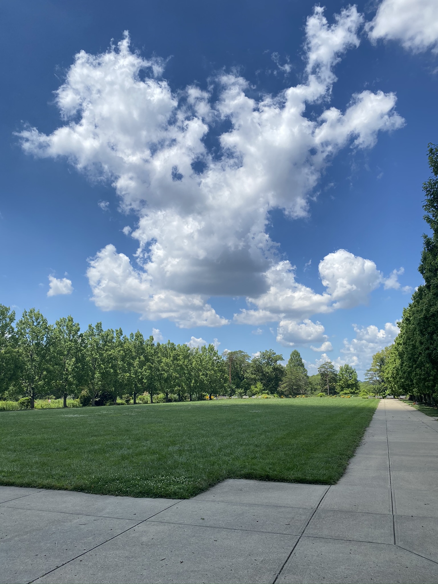 A Guide to Cincinnati's Ault Park Wander Cincinnati