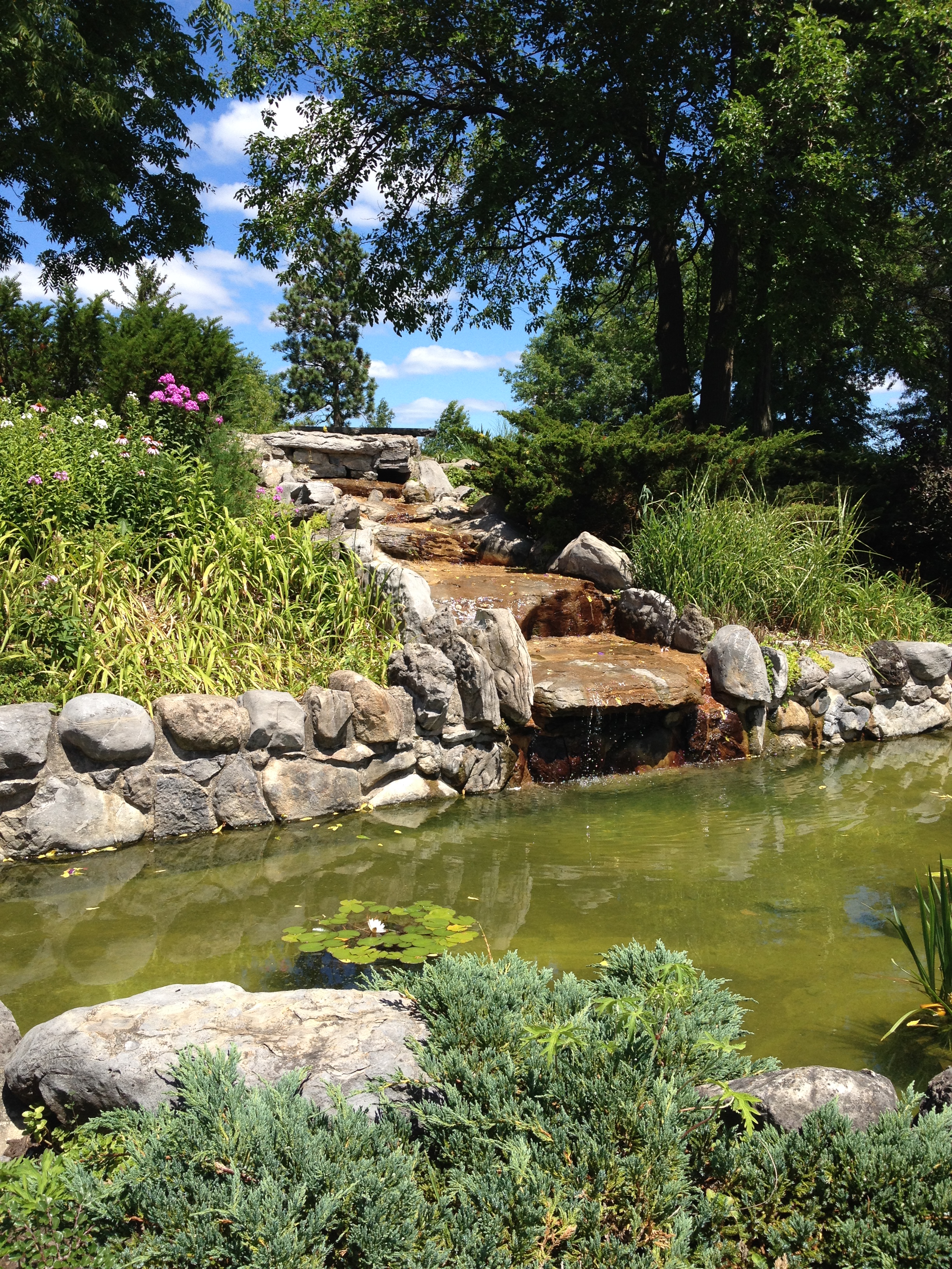 Thornden Park waterfall
