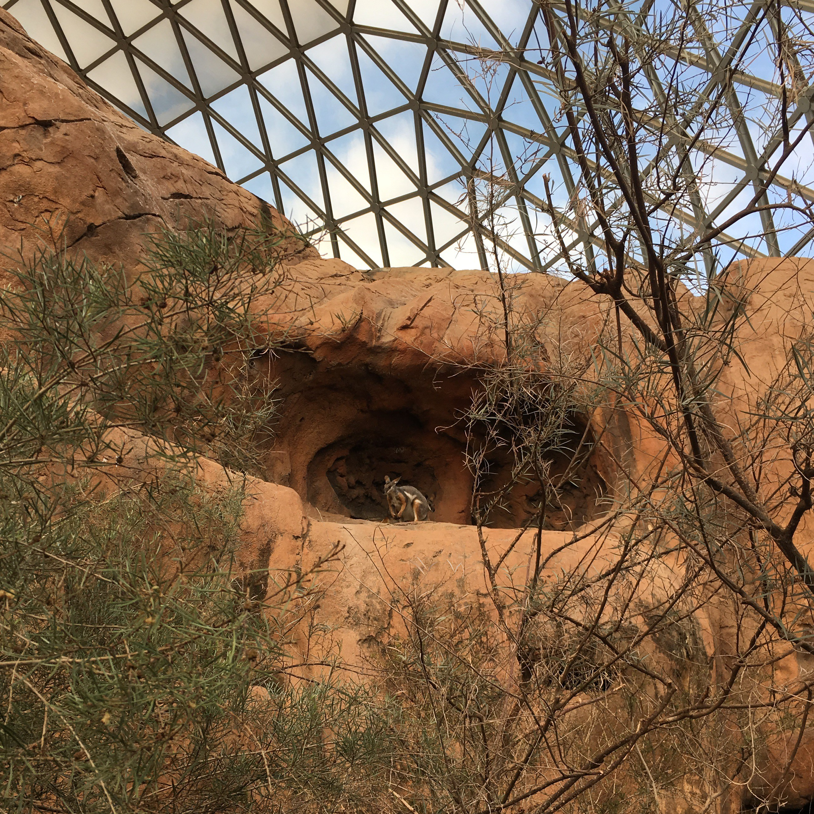 Omaha Zoo Dome