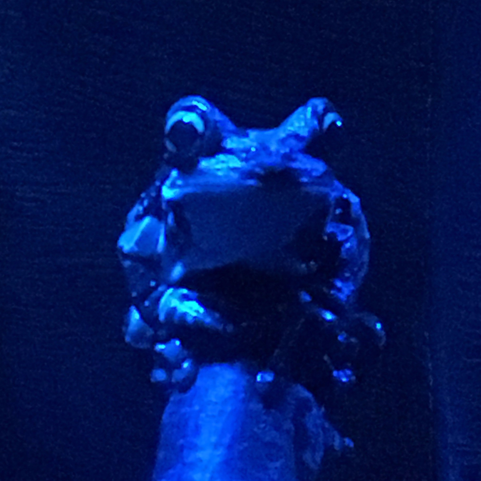 Omaha Frog