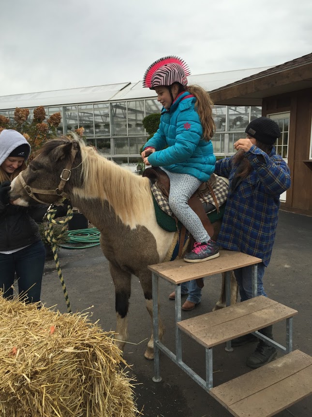 Hafners Pony Ride