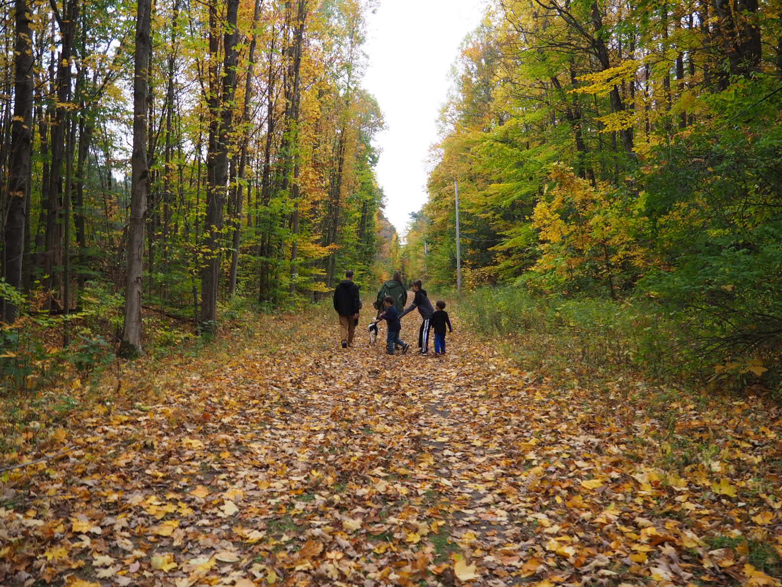 Great Bear Recreational Trail
