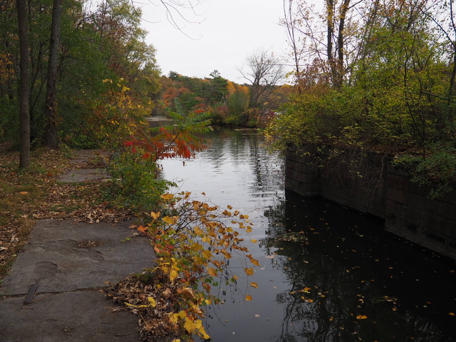 Great Bear Trail on Oswego River