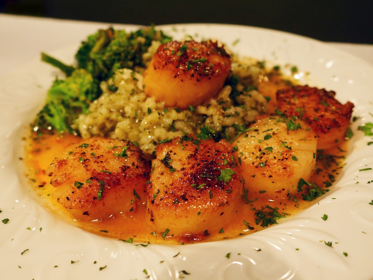 Scallops at 1157 North