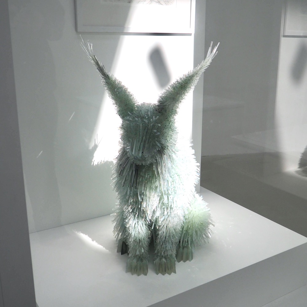 Glass Animal