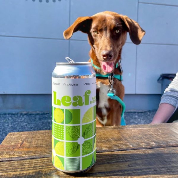 Willow Rock Leaf Seltzer