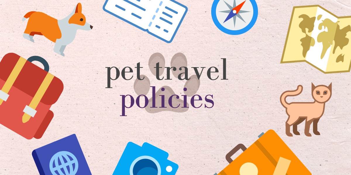 Pet Travel Policies — Wanderdolls