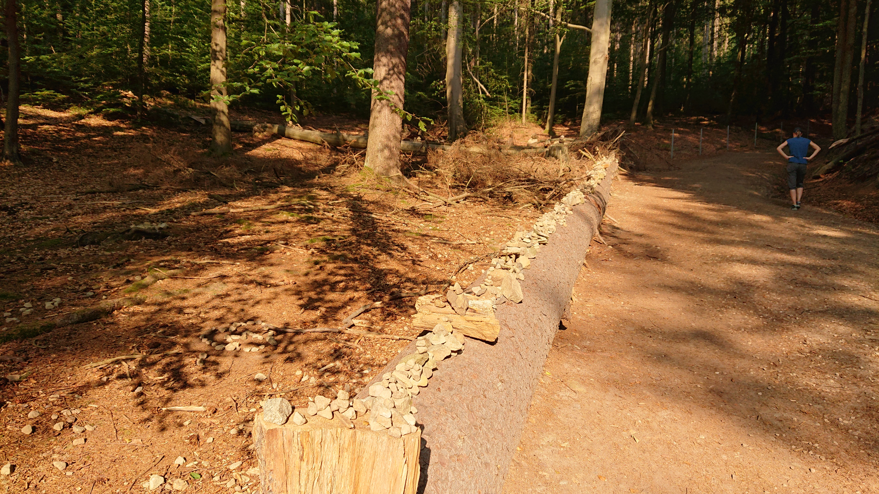 Wanderung Zum Kuhstall Wanderung zum Kuhstall im Kirnitzschtal Wandererde