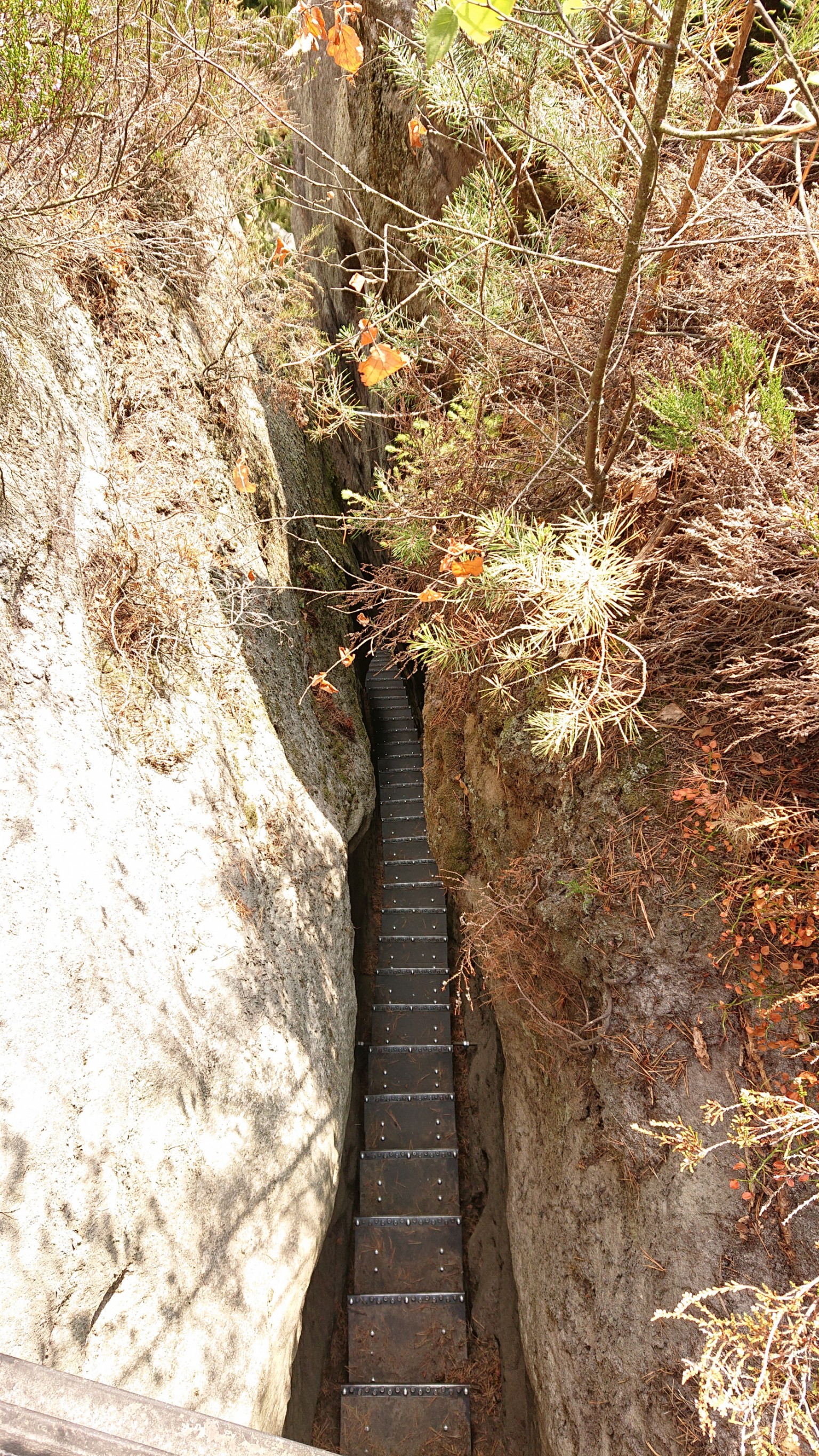 Wanderwege Kirnitzschtal Kirnitzschklamm Hermanseck und Königsplatz im Kirnitzschtal wandern