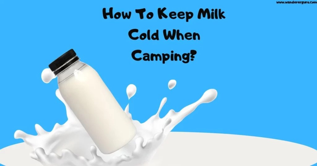 How To Keep Milk Cold When Camping? Golden Guide Wanderer Guru