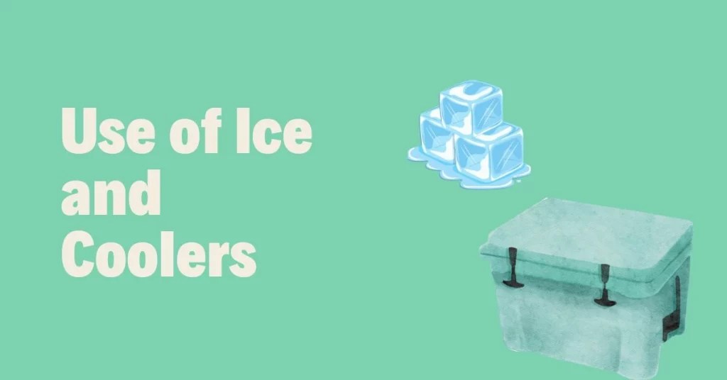 How To Keep Milk Cold When Camping? Golden Guide Wanderer Guru