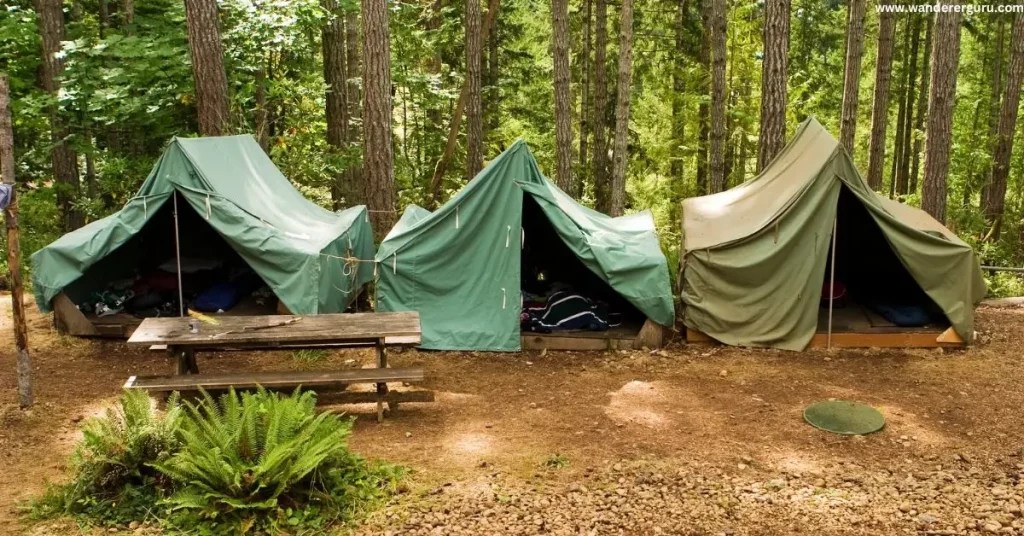 How to Clean Tent Mold? Tested & Reviewed Tips Wanderer Guru