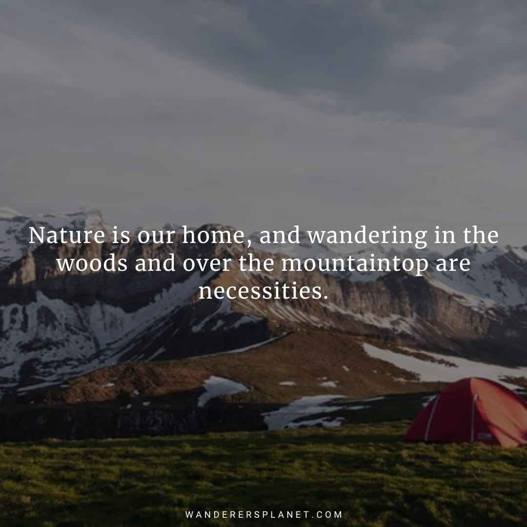 50 Beautiful Camping Captions For Instagram With Images