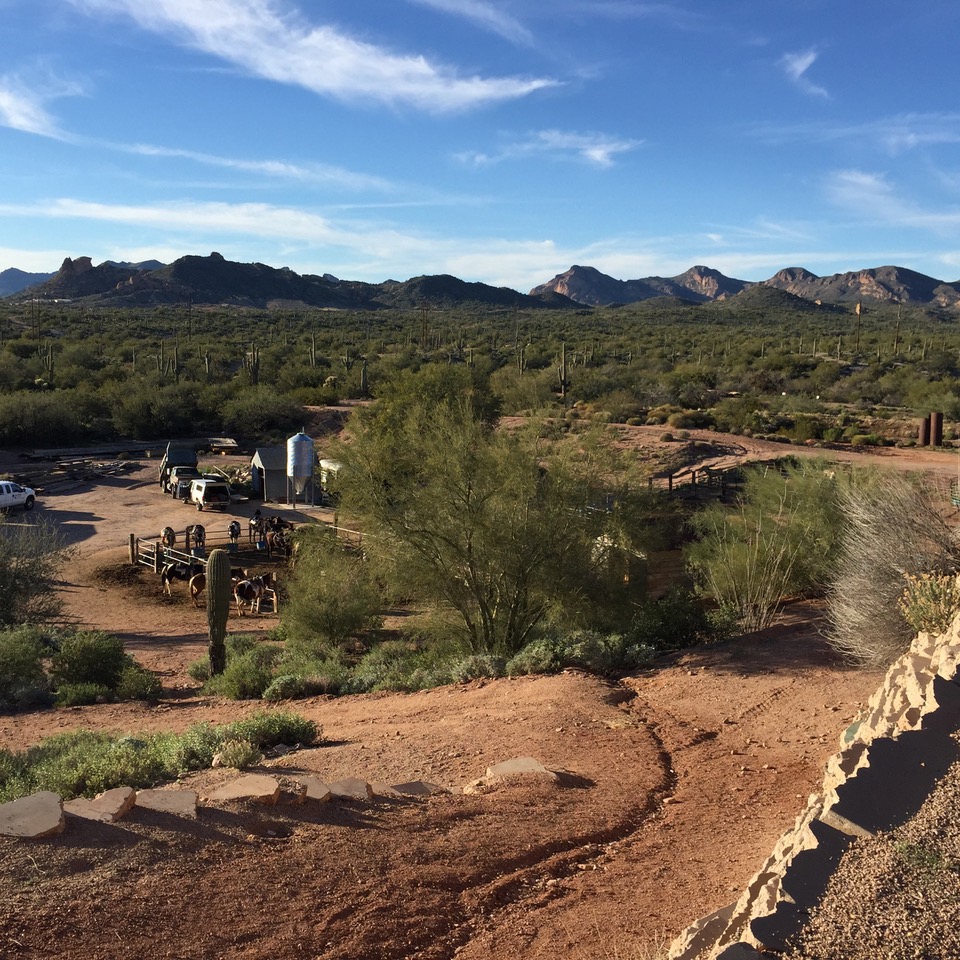 Goldfield, Arizona Legends And History Of The Wild West Wanderer Writes
