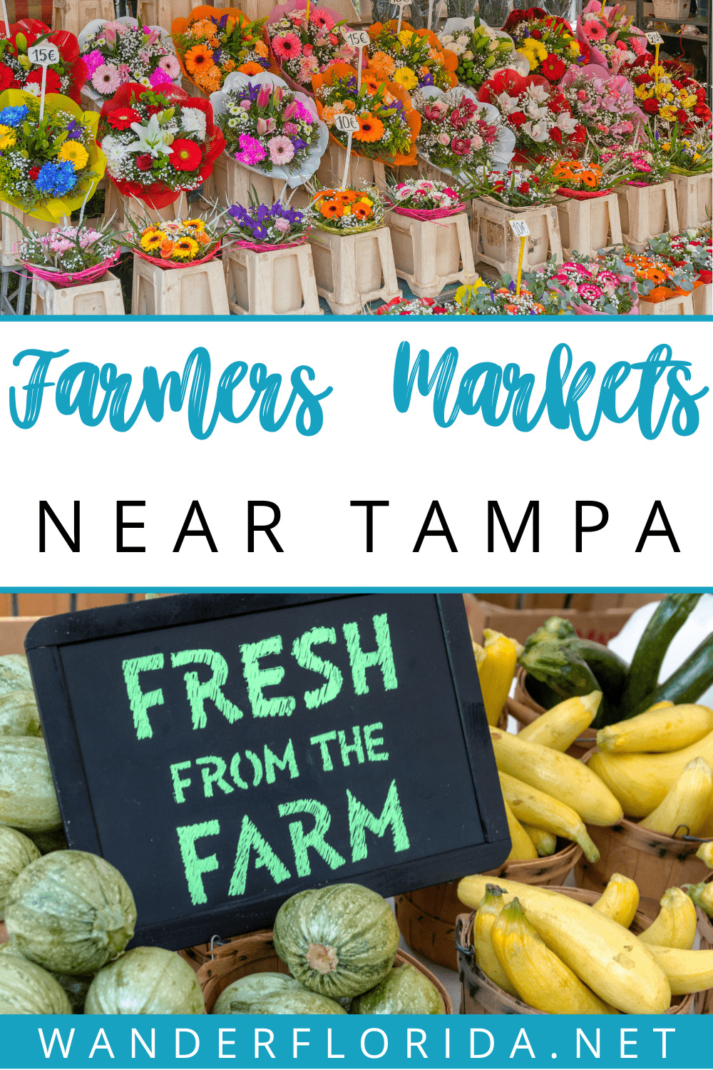 Top 10 Best Farmers' Markets In Tampa