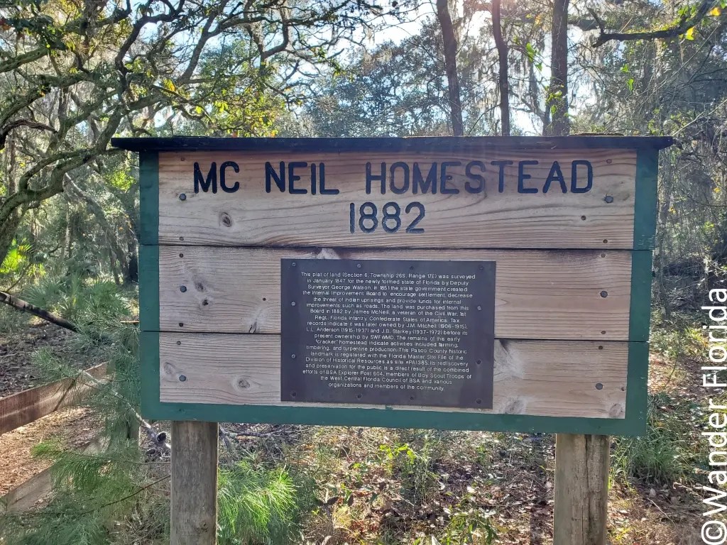 Hiking At Starkey Wilderness Park Wander Florida