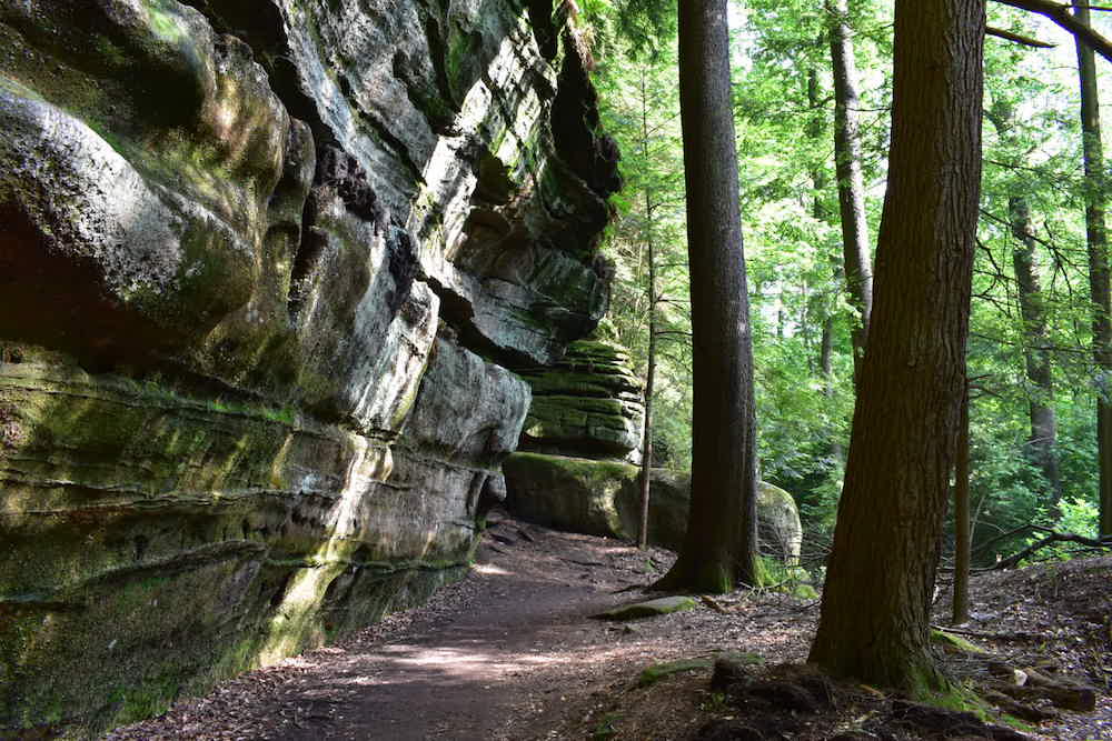 Top 10 Things to Do in Peninsula, Ohio Wander for the Wild