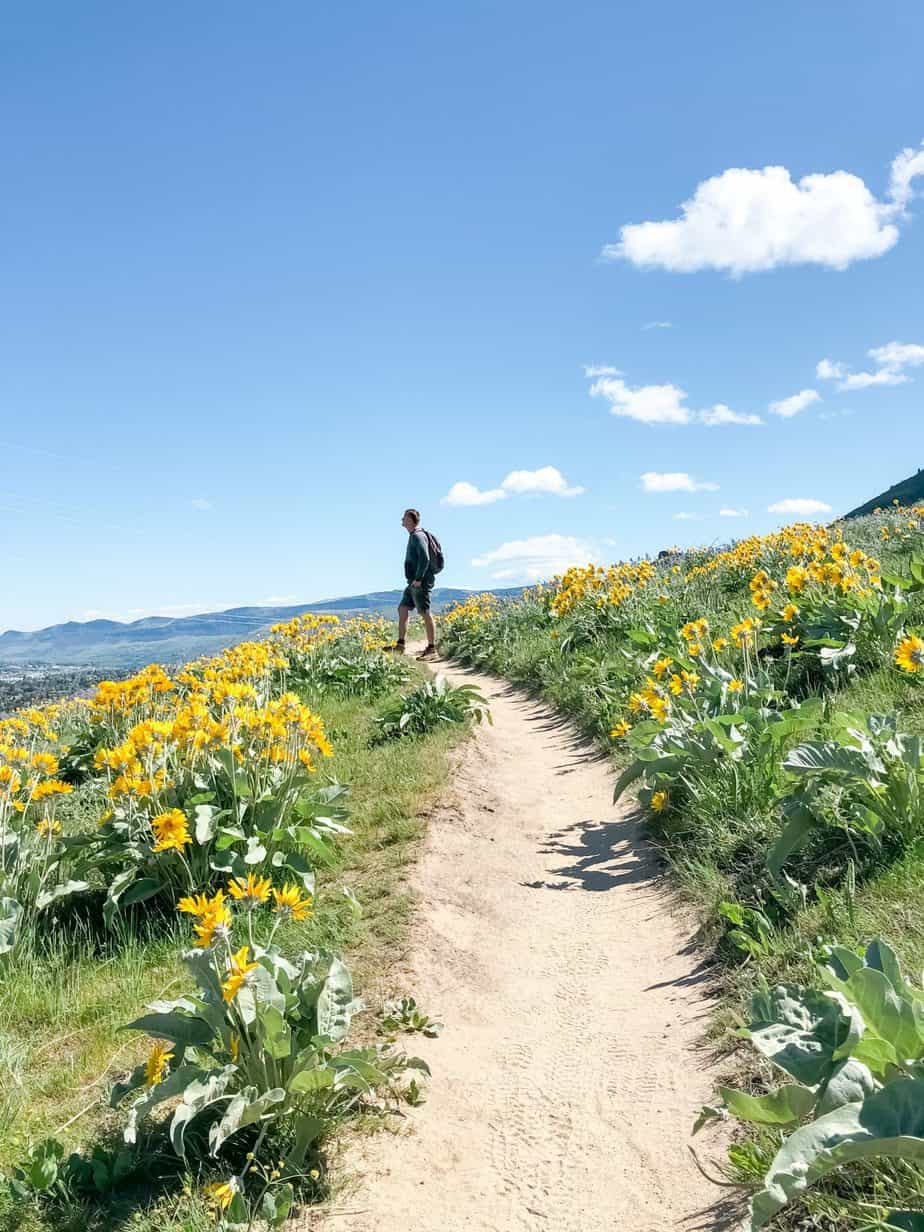 Best Spring Hikes in Washington Wandering Backpack