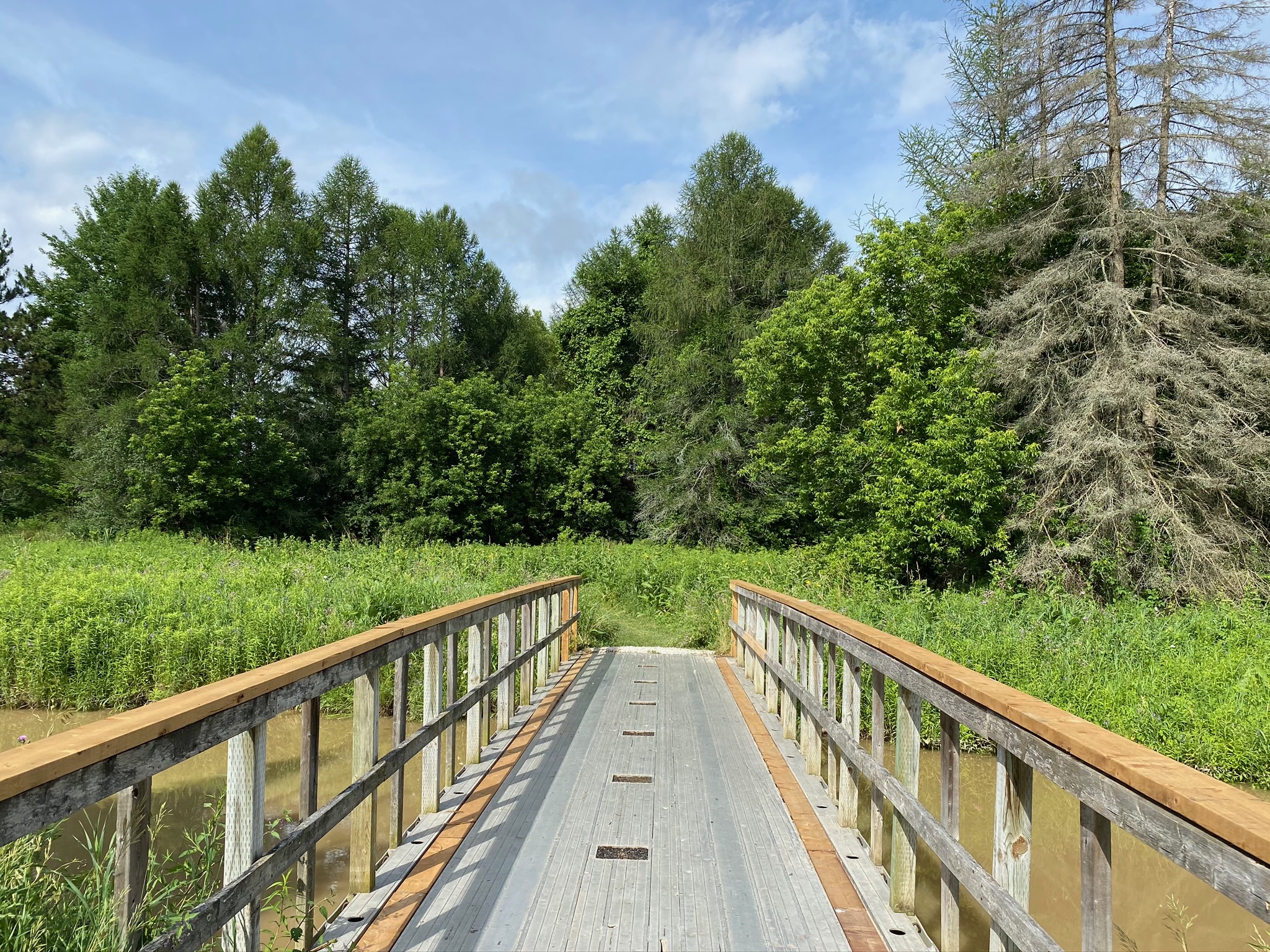 Earl Rowe Provincial Park Wandering Canadians