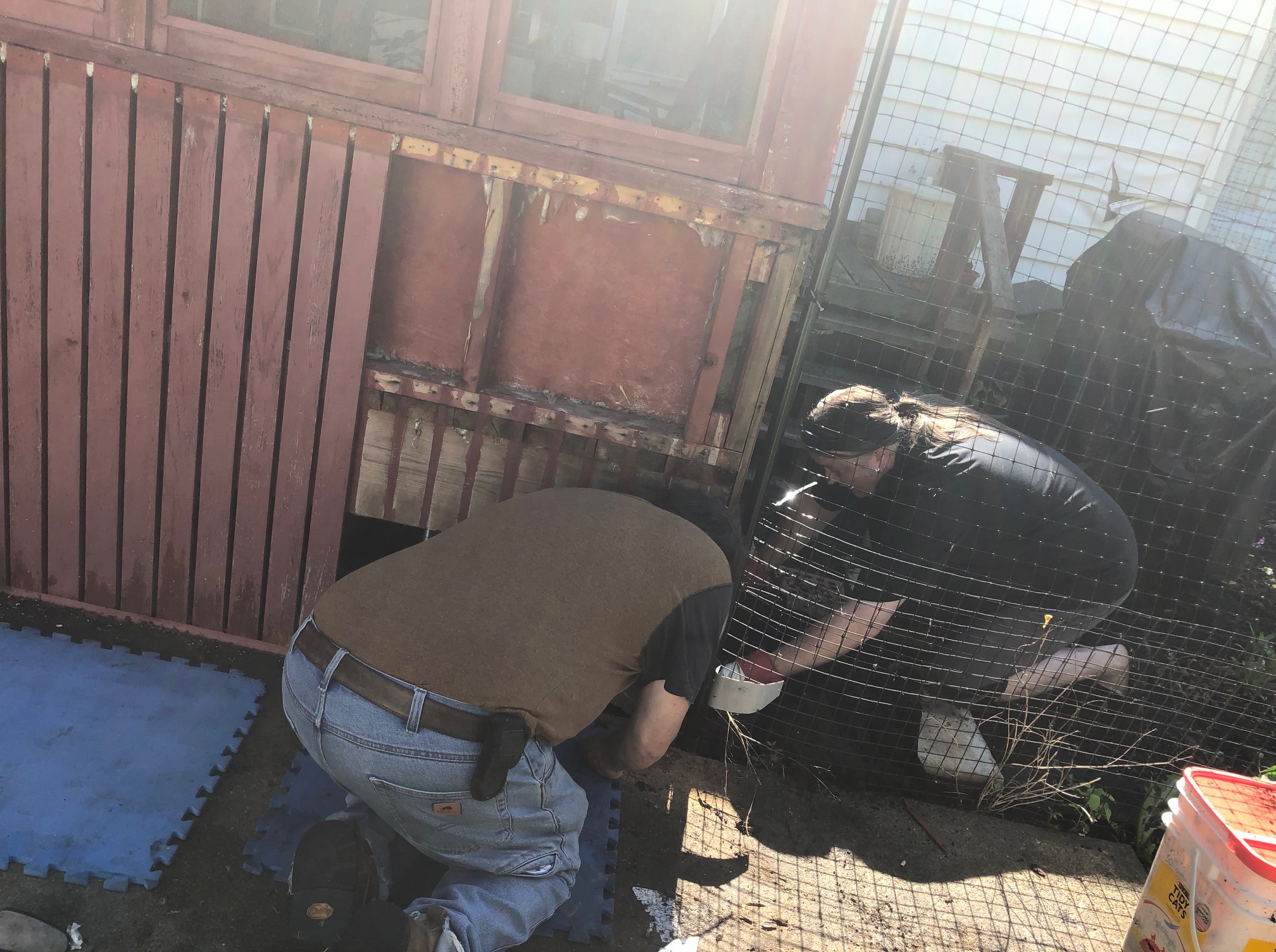 Porch pirates Wandering Cat Studio