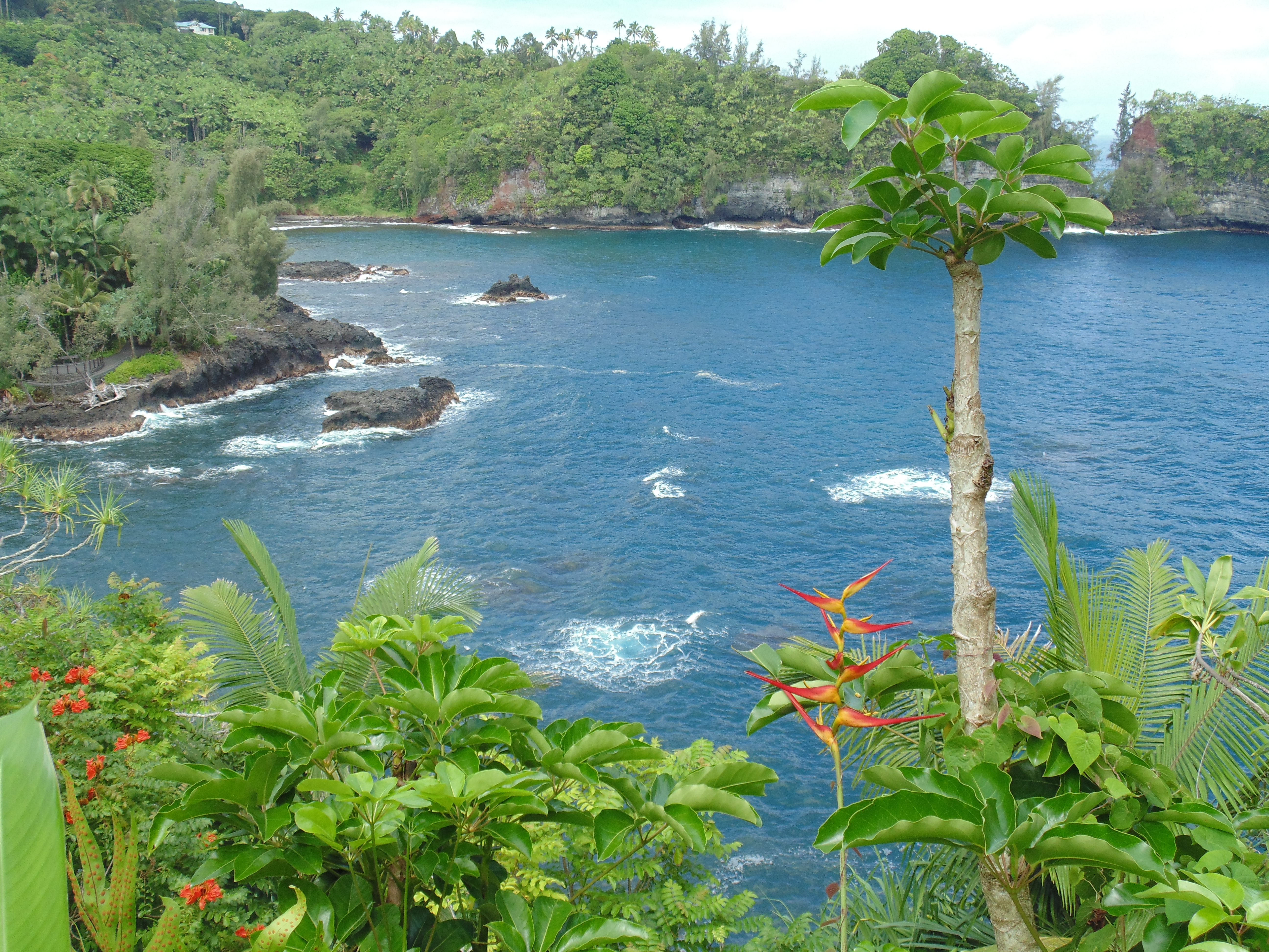 A Secret Hike in Hilo « Wandering in Heels