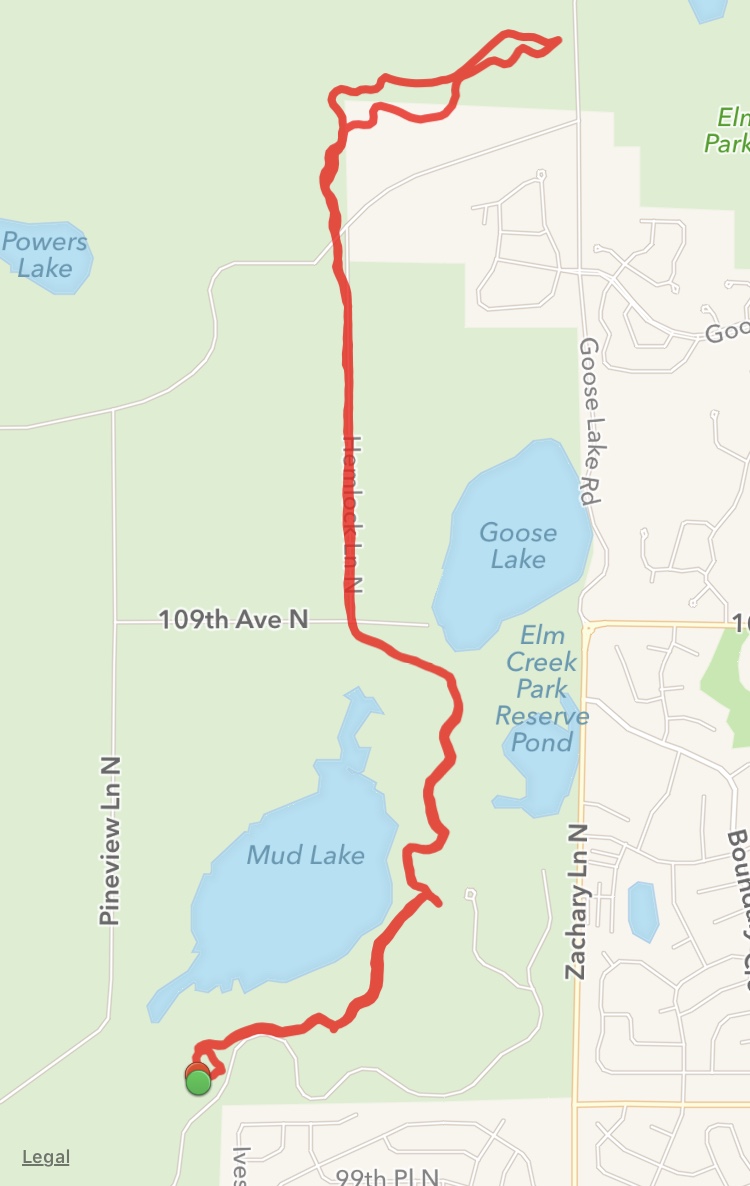 Hiking Elm Creek Park Reserve Wandering Pine