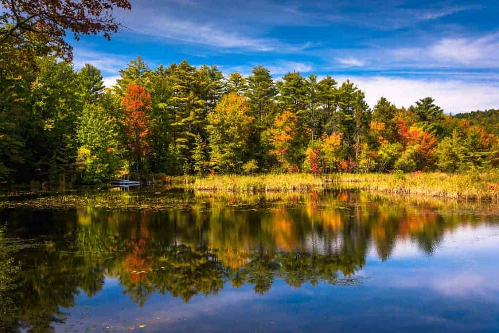 7 Best Places To Visit For Peak Fall Foliage In Maine [2023]
