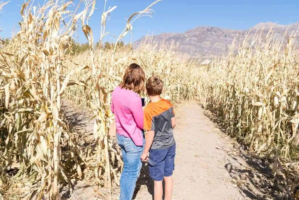 15 Best Corn Mazes In Maine To Explore This Fall [2023]