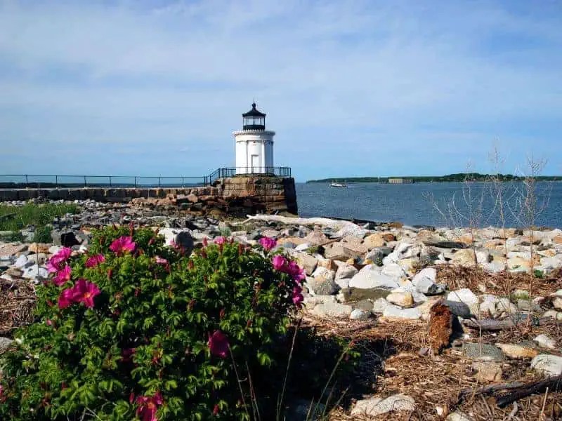 It's Maine in November Are There Still Things To Do?