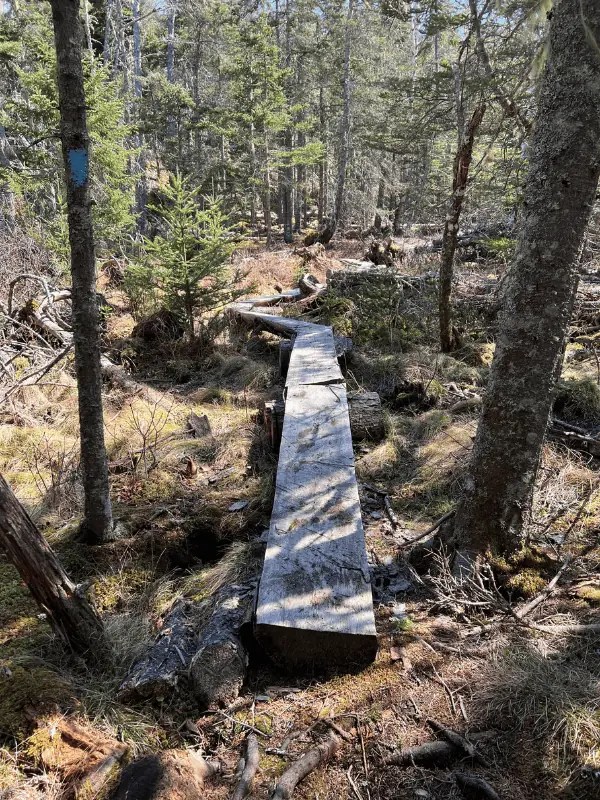 22+ Trails Do Some Great Hiking On Vinalhaven, Maine