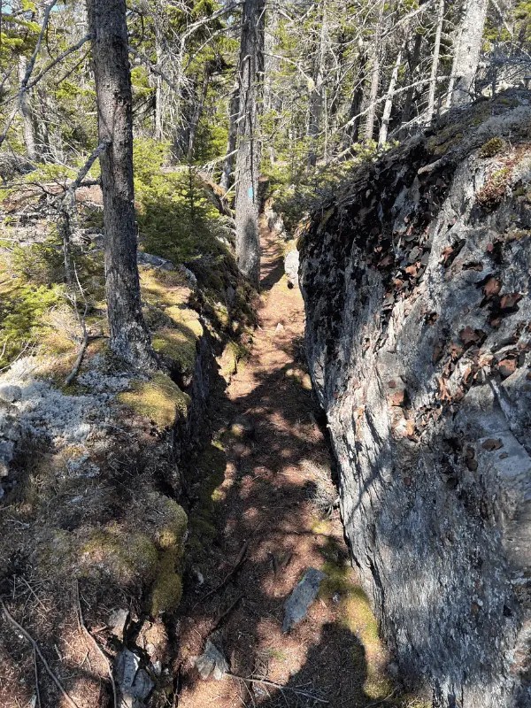 22+ Trails Do Some Great Hiking On Vinalhaven, Maine